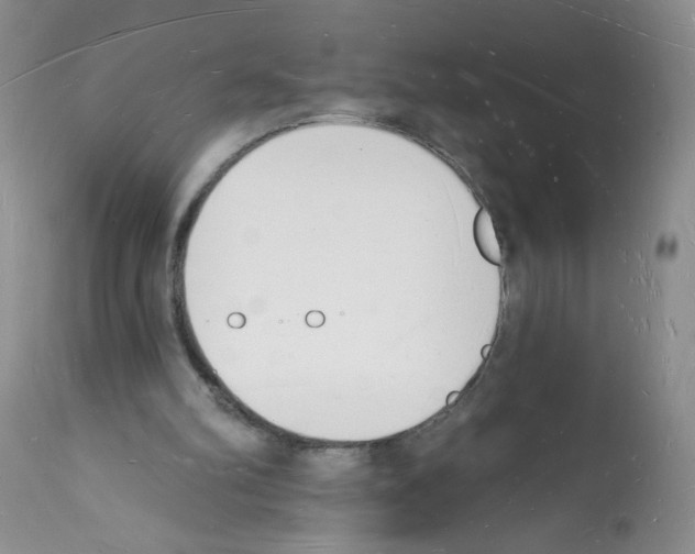 X0000112140102200909181408