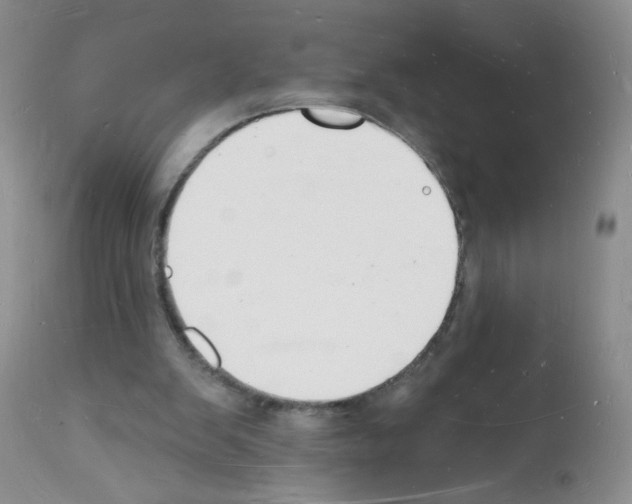 X0000112140103200909181408