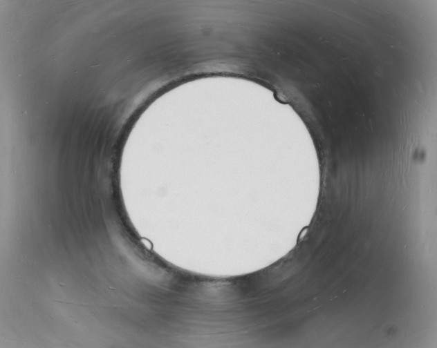 X0000112140108200909181408