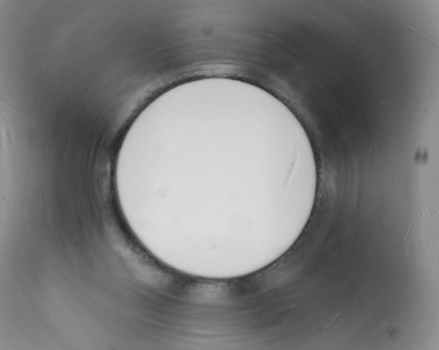 X0000112140110200909181408