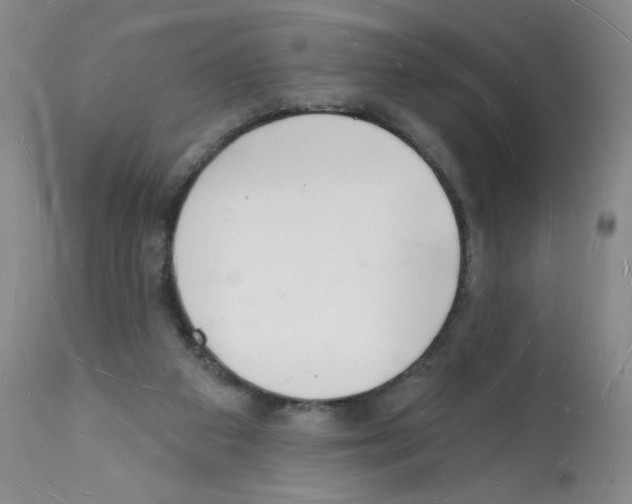 X0000112140113200909181408