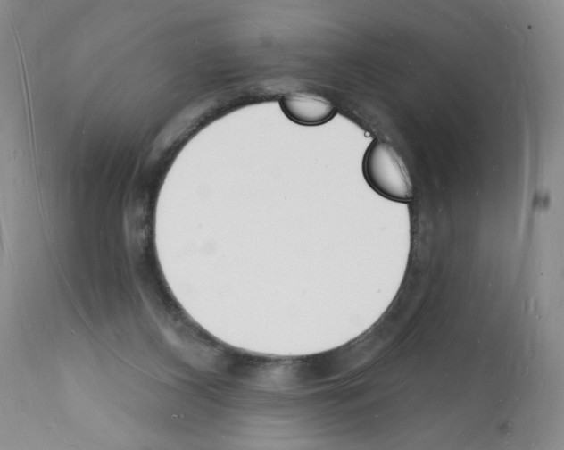 X0000112140116200909181408