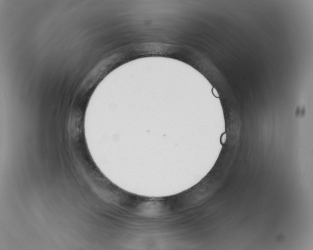 X0000112140119200909181408