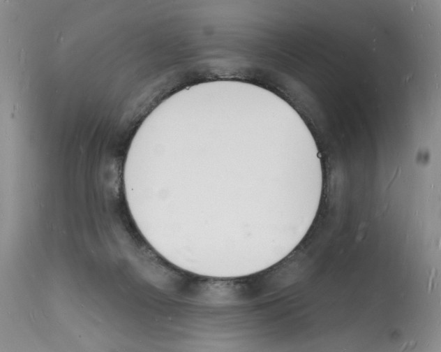 X0000112140121200909181408