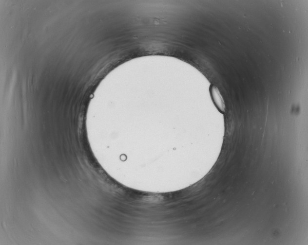 X0000112140124200909181407