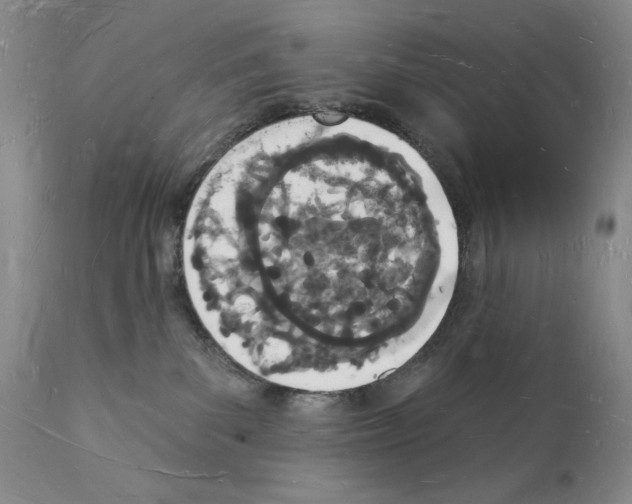 X0000112140139200909181407