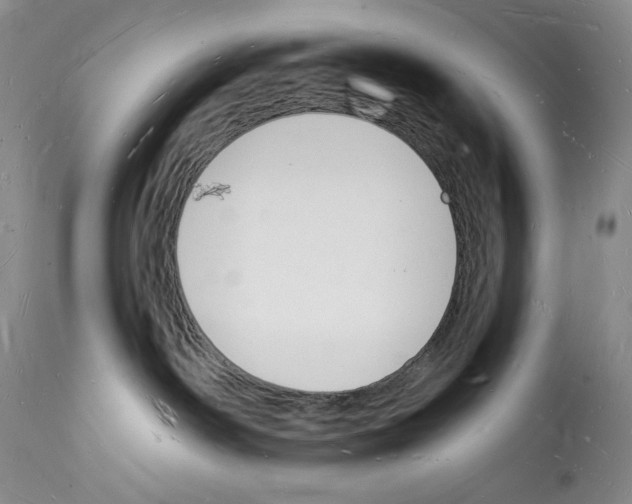 X0000112140142200909181407