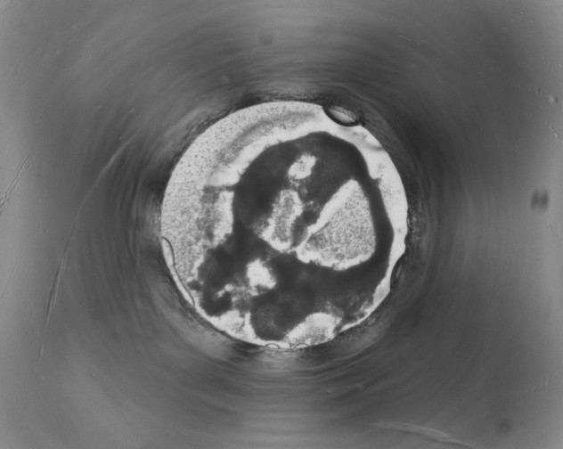 X0000112140143200909181407