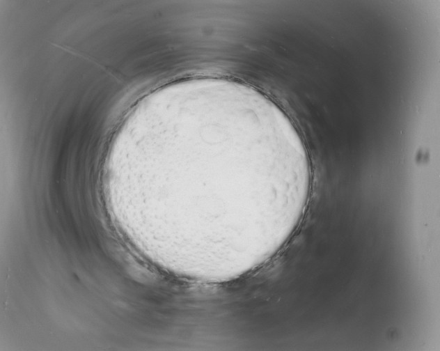 X0000112140145200909181406