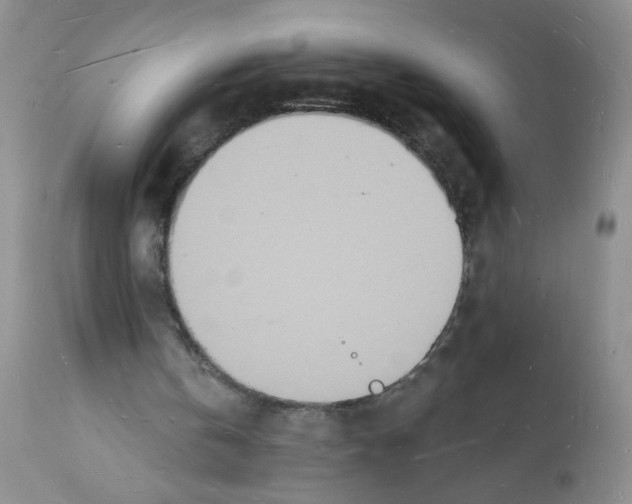 X0000112140146200909181406