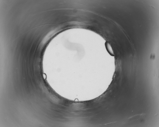 X0000112140150200909181406