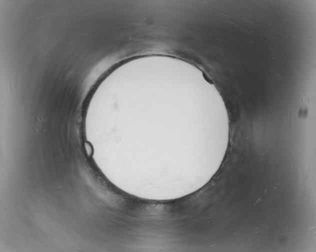 X0000112140152200909181407