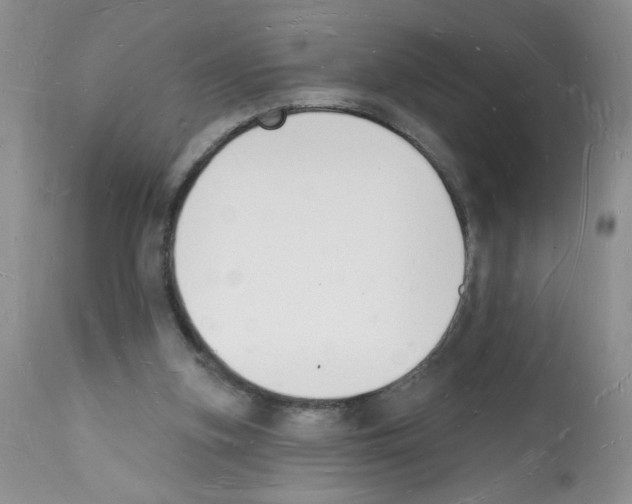 X0000112140155200909181407