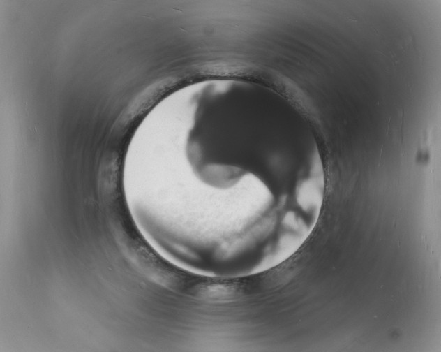 X0000112140163200909181407