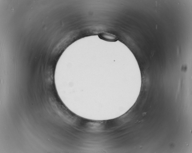 X0000112140170200909181407