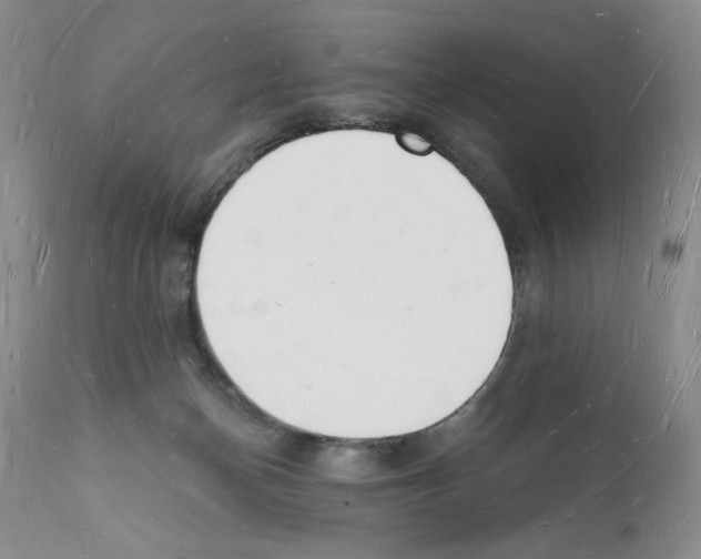 X0000112140174200909181407