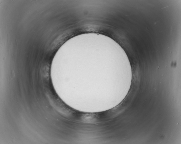 X0000112140175200909181407