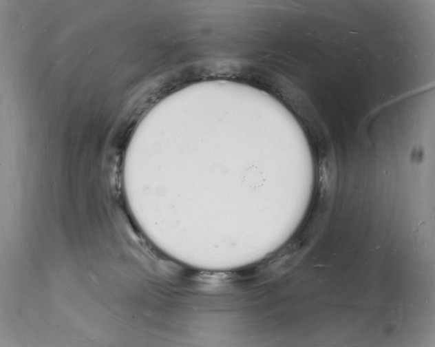 X0000112140181200909181407