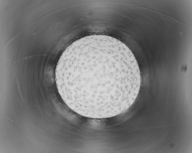 X0000112140187200909181407