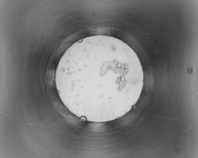 X0000112140189200909181407