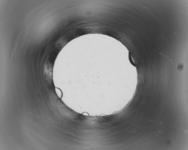 X0000112140190200909181407