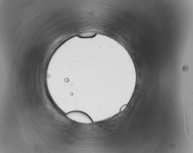 X0000112140193200909181406