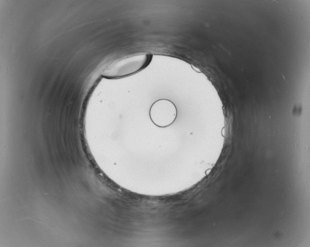 X0000112140195200909181406