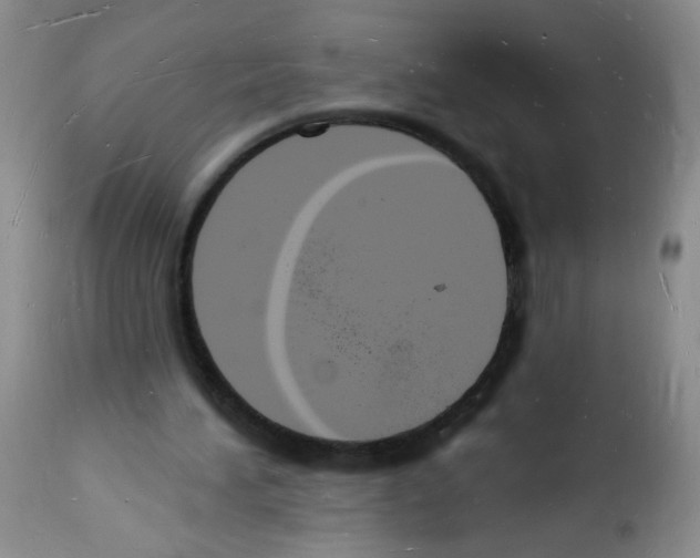 X0000112140196200909181406