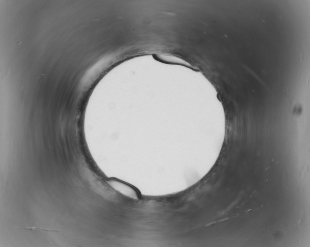 X0000112140197200909181406