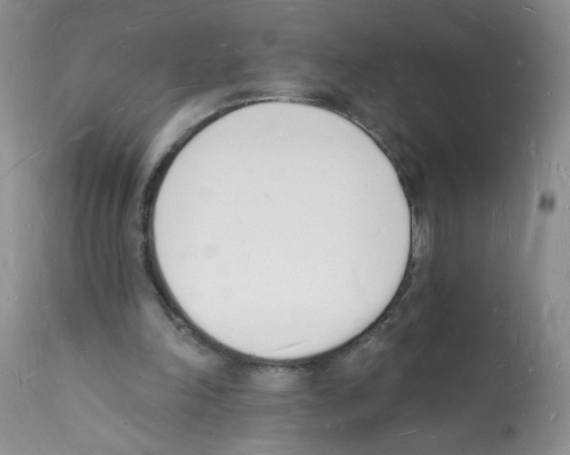 X0000112140198200909181406