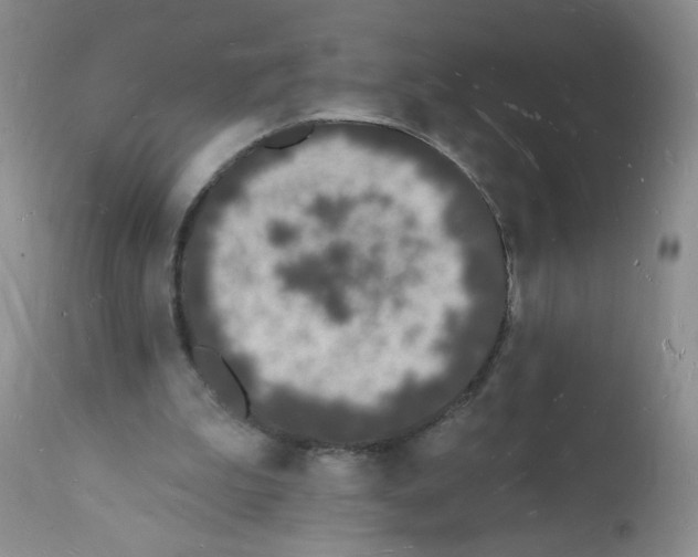 X0000112140199200909181406