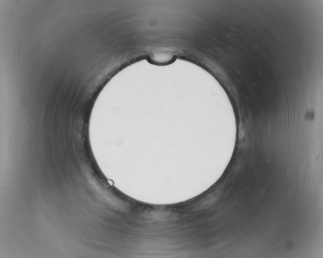 X0000112140201200909181406