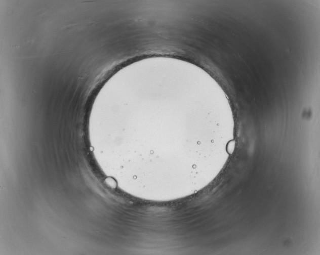 X0000112140203200909181406