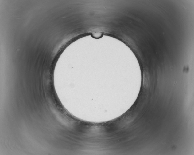 X0000112140204200909181406