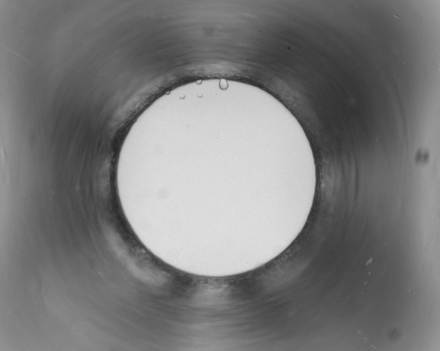 X0000112140206200909181406