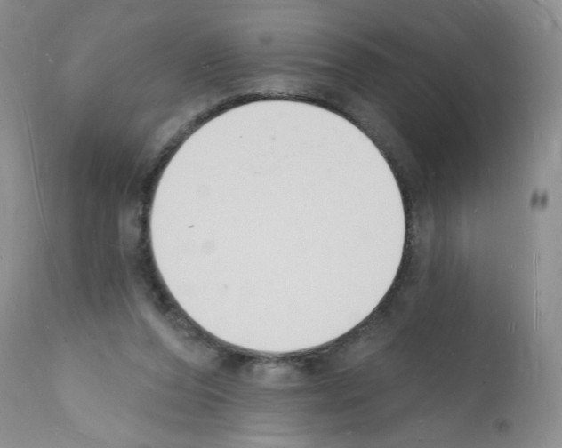 X0000112140208200909181406