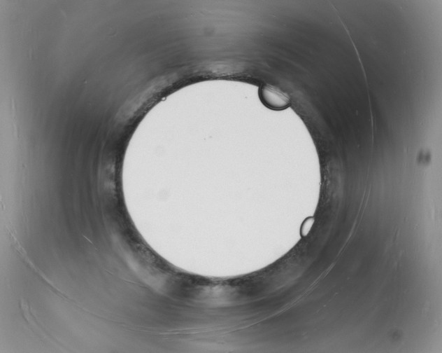 X0000112140212200909181406