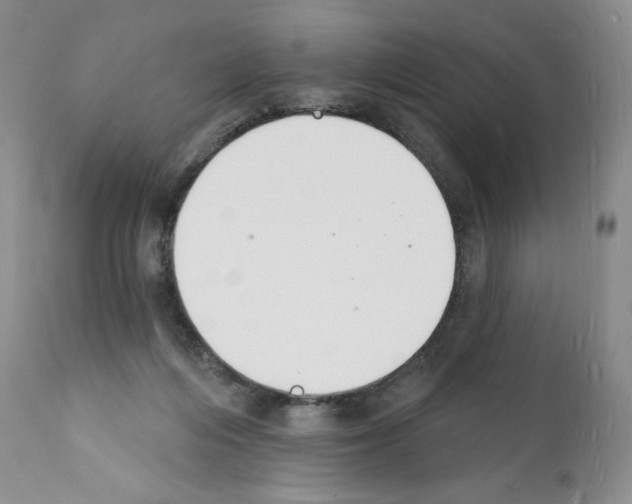 X0000112140216200909181406