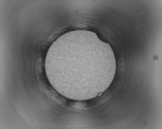 X0000112140223200909181406