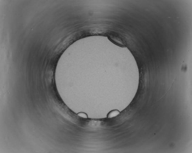 X0000112140227200909181406