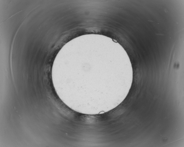 X0000112140229200909181406