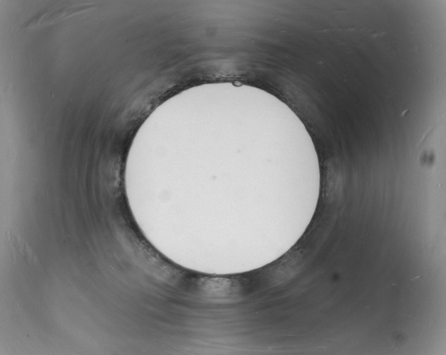 X0000112140230200909181406