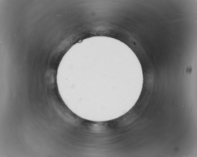 X0000112140232200909181406