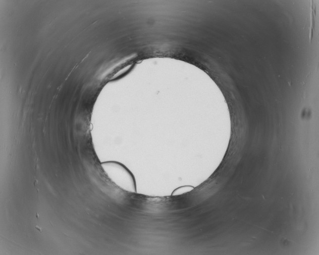 X0000112140240200909181406