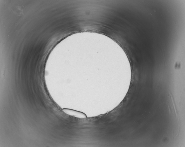 X0000112140241200909181405