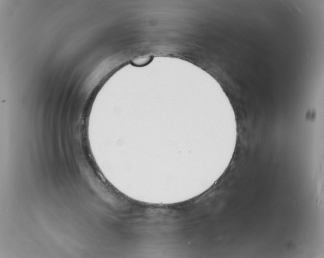 X0000112140242200909181405