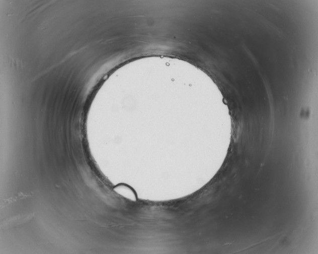 X0000112140244200909181405