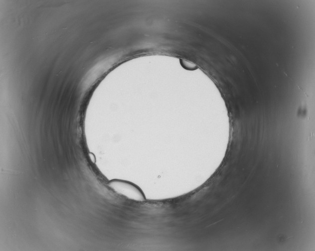 X0000112140245200909181405