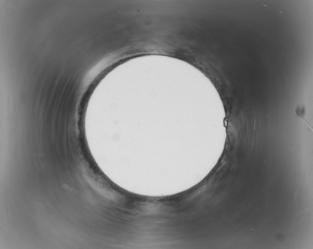 X0000112140246200909181405