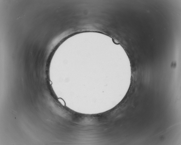 X0000112140248200909181405